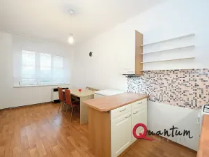 Pronájem bytu 1+1, Praha - Vinohrady, Fričova, 46 m2