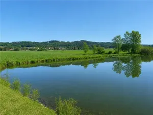 Prodej zahrady, Vilice, 1008 m2