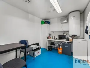 Prodej obchodního prostoru, Ústí nad Labem, Bílinská, 108 m2