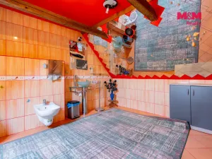 Prodej rodinného domu, Nová Ves nad Lužnicí, 829 m2