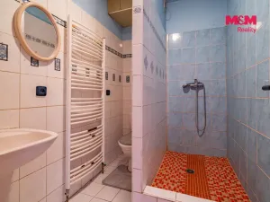 Prodej rodinného domu, Nová Ves nad Lužnicí, 829 m2