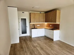 Pronájem bytu 1+kk, Praha, Poděbradská, 36 m2
