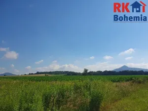Prodej pozemku, Pertoltice pod Ralskem, 49299 m2