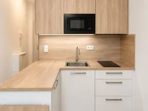 Pronájem bytu 1+kk, Brno, Francouzská, 17 m2