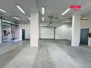 Pronájem skladu, Ostrava - Přívoz, 191 m2