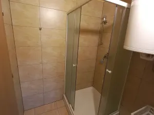 Pronájem rodinného domu, Pluhův Žďár, 160 m2