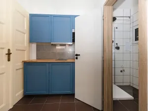 Prodej bytu 1+kk, Praha - Košíře, Vrchlického, 27 m2