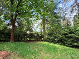 Prodej chaty, Borová, 53 m2