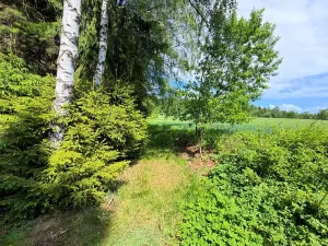Prodej chaty, Borová, 53 m2