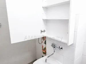 Pronájem bytu 1+kk, Praha - Hloubětín, Šestajovická, 30 m2