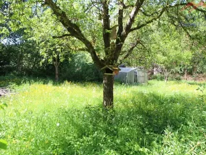Prodej rodinného domu, Horní Bezděkov, 140 m2