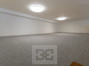 Pronájem bytu 1+kk, Praha - Nové Město, Legerova, 30 m2