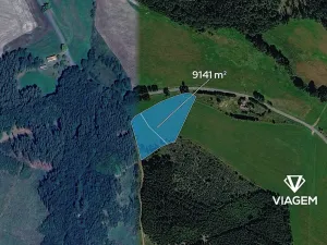 Prodej pole, Přívětice, 9141 m2