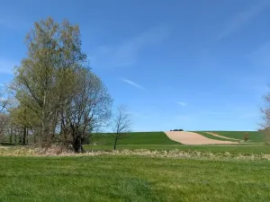 Prodej zahrady, Soběslav, 1710 m2
