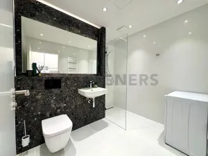 Pronájem bytu 1+kk, Brno, Cejl, 30 m2