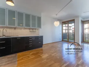 Pronájem bytu 3+kk, Praha - Žižkov, Olgy Havlové, 76 m2