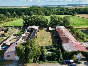 Prodej zemědělské usedlosti, Slezské Pavlovice, 810 m2
