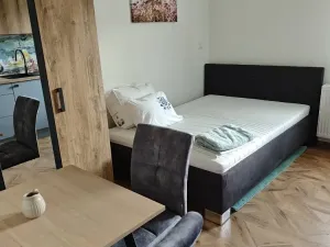 Pronájem bytu 1+kk, Praha, Legerova, 25 m2