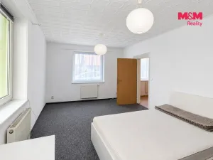 Pronájem bytu 1+1, Nová Role, U Plynárny, 38 m2