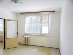 Prodej bytu 1+1, Ústí nad Labem, Družstevní, 37 m2