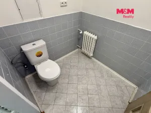 Pronájem bytu 2+1, Hobšovice - Skůry, 78 m2
