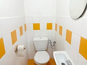 Pronájem bytu 6+kk a větší, Brno, Křížová, 235 m2