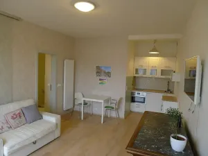 Pronájem bytu 1+kk, Praha - Dejvice, Wuchterlova, 36 m2