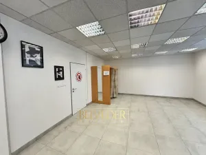 Pronájem obchodního prostoru, Teplice, Masarykova třída, 150 m2