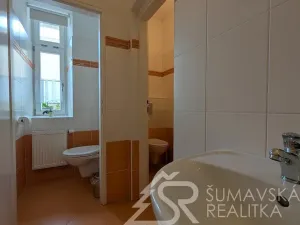 Prodej obchodního prostoru, Kašperské Hory, Náměstí, 161 m2