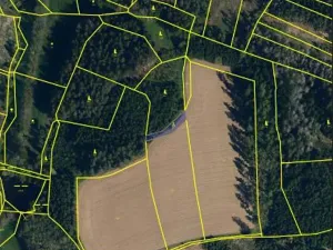 Prodej lesa, Útěchovičky, 360 m2