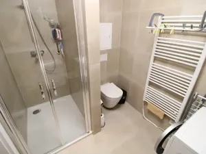 Pronájem bytu 1+kk, Zbiroh, Majerové, 40 m2