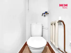 Prodej bytu 3+1, Vysoké Mýto - Pražské Předměstí, Rašínova, 62 m2