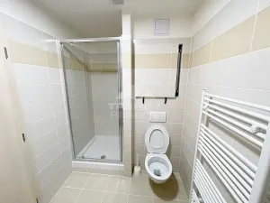Pronájem bytu 1+kk, Plzeň, Nemocniční, 29 m2