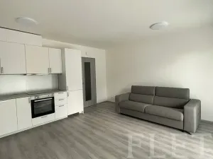 Pronájem bytu 1+kk, Praha - Záběhlice, Klapálkova, 31 m2