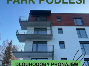 Pronájem bytu 1+kk, Jablonec nad Nisou, Za Jízdárnou, 42 m2