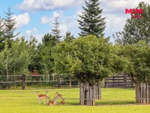 Prodej bytu 3+1, Košík, 61 m2