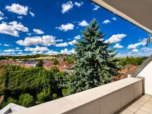 Prodej vily, Křižanov, Benešovo náměstí, 530 m2