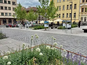 Prodej bytu 2+kk, Praha - Žižkov, Dalimilova, 50 m2