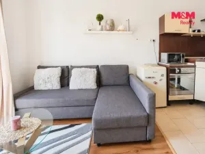 Pronájem bytu 1+kk, Brno - Slatina, Zlínská, 29 m2