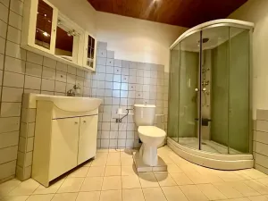 Pronájem bytu 1+1, Praha, 55 m2