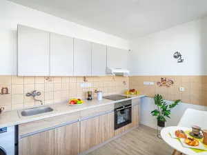 Prodej bytu 2+1, Mladá Boleslav, Erbenova, 59 m2