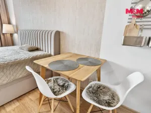 Prodej bytu 1+kk, Nový Bor, Svojsíkova, 29 m2