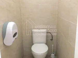 Pronájem kanceláře, Praha - Karlín, Thámova, 36 m2