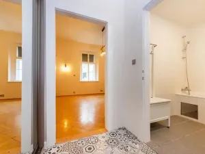 Pronájem bytu 1+kk, Praha - Karlín, Vítkova, 29 m2