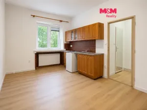 Pronájem bytu 1+kk, Olomouc - Hodolany, Zeyerova, 23 m2