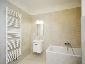 Pronájem bytu 1+1, Praha - Vinohrady, Mánesova, 47 m2