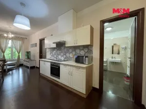 Prodej bytu 2+kk, Karlovy Vary, Chebská, 48 m2