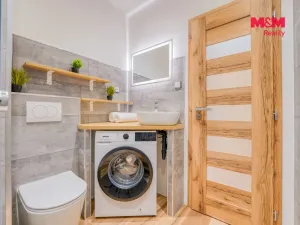 Prodej bytu 1+kk, Horní Bříza, U Vrbky, 22 m2