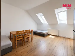 Pronájem činžovního domu, Bradlec, K Oboře, 280 m2