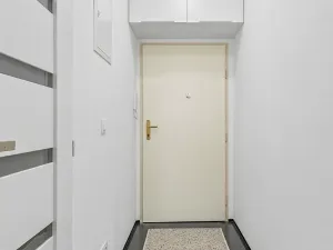 Pronájem bytu 1+kk, Praha - Žižkov, Biskupcova, 25 m2
